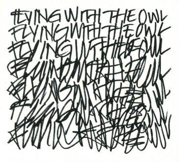 Flying with the owl TH BEAUTY OF GEMINA