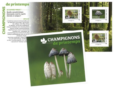Frankrig - Svampe forår 2025 - Postfrisk hæfte