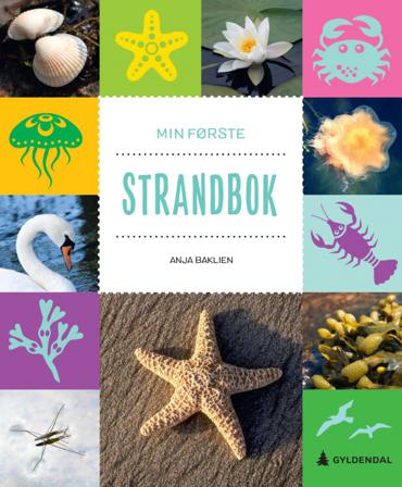 Min første strandbok - Bok av Anja Baklien - Hardback