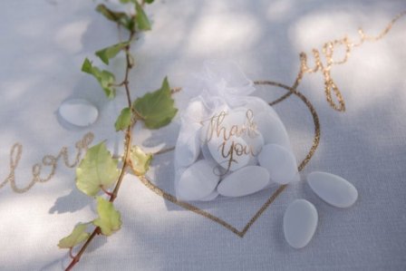 Organzaposer Thank You 6-pak