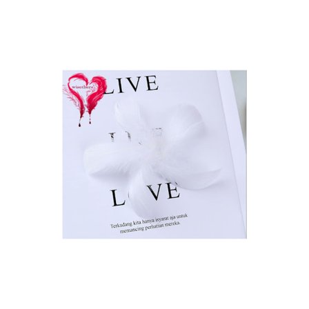 300 stk Naturlige Fjær Kreative Hobbydekorasjoner Fjær for