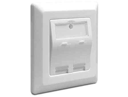 Delock Keystone Wall Outlet Cat6 2-port