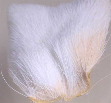 Deer Belly Hair - white