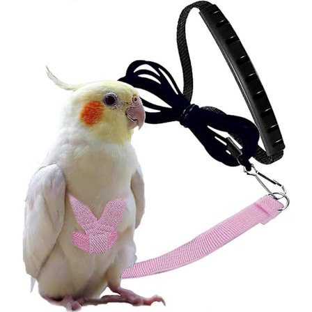 Justerbar Fuglesele med 203 cm Snor, Udendørs Flyvekit Træningstov til Fugle Papegøjer Nymfeparakit