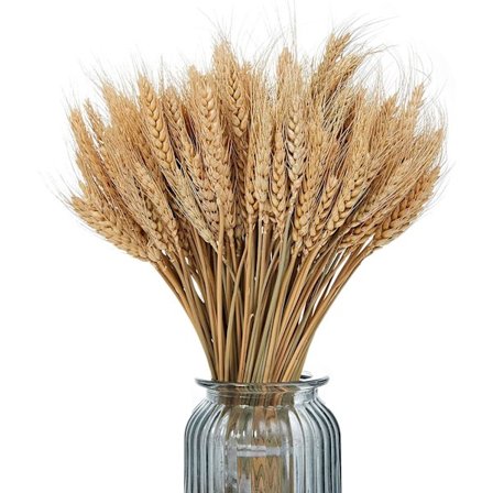 Naturlig tørket hvete tørket hvete hvete bukett dekorasjon tørkede blomster for bryllupssenterstykker hjem balkong fest bord vase dekorasjon (brun, 
