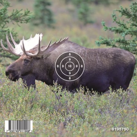 Gyttorp Target Airgun Elk Övningsskytte OneSize