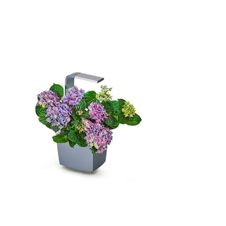 TREGREN Kitchen Garden T3 Grå