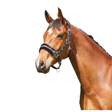 Saxon Fleece Fodrad Bandhuvudlag Pony Svart/Svart