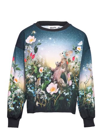 Reniza T-shirts Long-sleeved T-shirts Multi/mönstrad Molo
