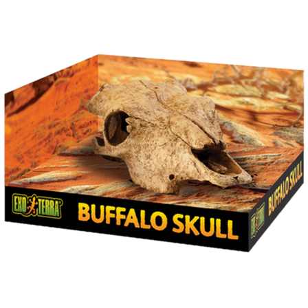 Exoterra - Bøffelhodeskalle - sikkert gjemmested Beige 23 cm - Reptil - Terrarium inventar - Terrarium-dekorasjoner - ZOO.no