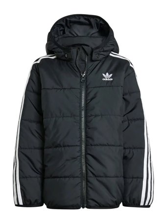 Padded Jacket Black Adidas Originals