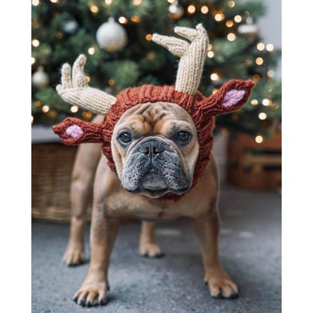 Hundekostyme - Ørevarmere uten klaff for kjæledyr Halloween-hatt