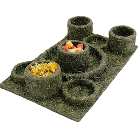 JR FARM - Fun Park Green 28 x18 x 5 cm - Smådyr - Leketøy og aktivering - Aktiveringsleker og fôrballer - ZOO.no