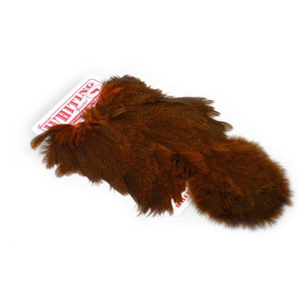 Whiting Coq De Leon Hen SH/C Speckled dyed Burnt Orange