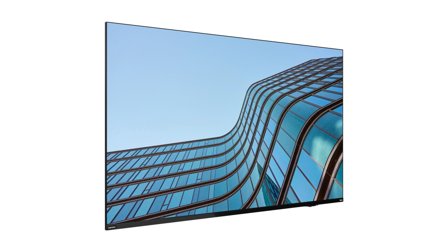 Lenovo ThinkVision E55 LFD