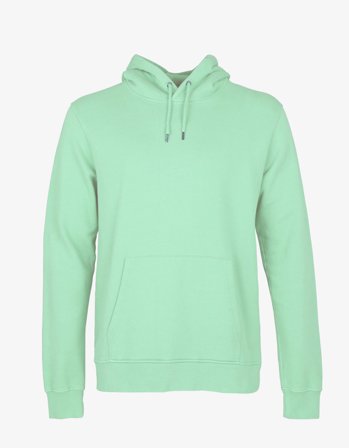 Classic Organic Hood - Faded Mint - XS