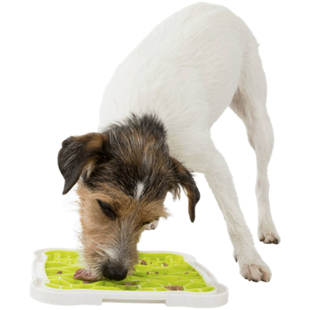 Trixie - Lick'n'Snack-tallerken - aktivering av fôr Grønn 20x20 cm - Hund - Matplass & vannautomater for hund - For glupske hunder - ZOO.no
