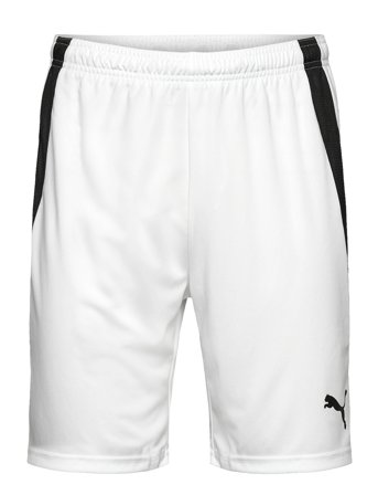 PUMA | Teamliga Shorts | XL