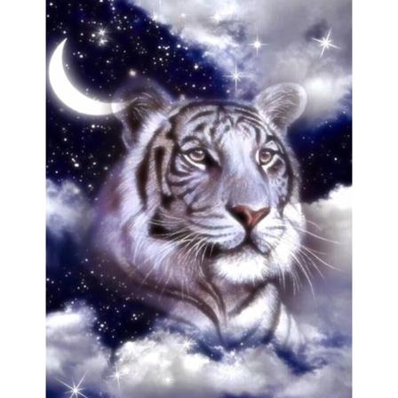 Diamond Painting 5d Diy Diamant Målning Mån Tiger 40x50cm