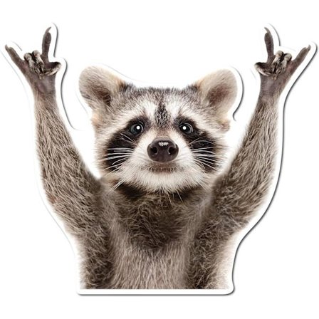 Rådyr-klistremerke, morsom vaskebjørn søt bilklistremerke 5,5 tommer klistremerke bil laptop vegg vindu støtfanger klistremerke