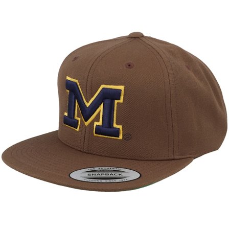 Park Fields - College "Redes " snapback Boné - Michigan Wolverines 3d Logo Tan Snapback @ Hatstore