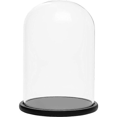 Svart trebase 20 cm - transparent dekorativ glasskuppel med tretopp for belysning, borddekorasjon, antikviteter