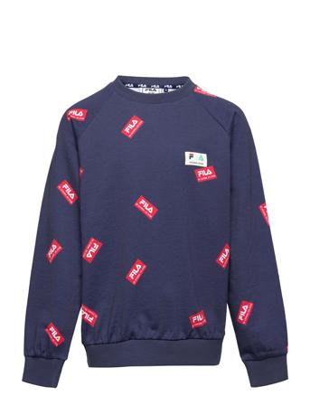Tschirn Aop Crew Sweat Sweat-shirt Tröja Multi/mönstrad FILA
