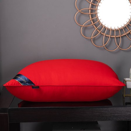 Sängkuddar Polyesterfyllning Mjuk Stödjande plyschkuddar för att sova 48x74cm