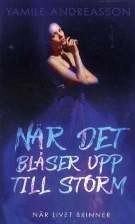 När det blåser upp till storm - Bok av Yamilé Andreasson - Pocket