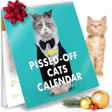 Pissed Off Cats 2026-kalender - Morsom, frekk gave til sinte katteelskere - 12-måneders veggplanlegger for vits, julegave