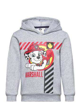 Hoodie Hettegenser Genser Grå Paw Patrol*Betinget Tilbud