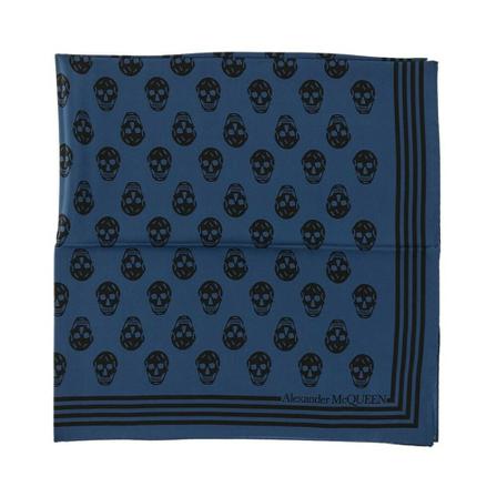 Alexander McQueen, Scarves Blauw, Dames, Maat:ONE Size