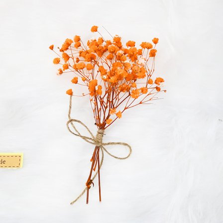 Evig Blomst Tørket Blomst Festival Gave Mini Liten Blomsterbukett Aromaterapi Flaske Brystblomst