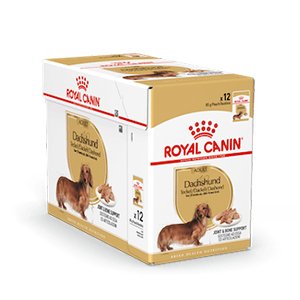 Royal Canin Dachshund Adult 12x85 g, vådfoder