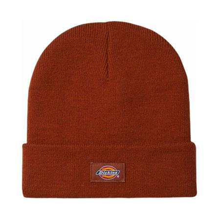 Dickies Beanies , Bruin , Heren , Maat: ONE Size Hoeden