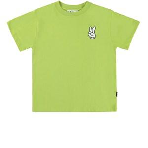 Molo Galactic Green Rodney GOTS T-Shirt 122 cm - Tops - 122 cm - Green - Junge