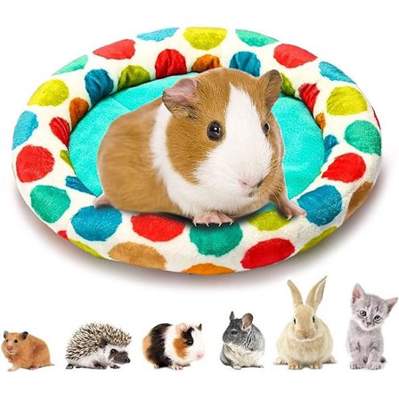 Guniea Pig Bed (säng)