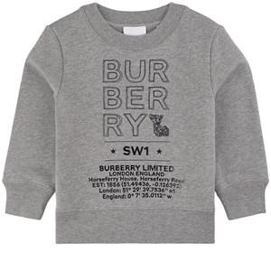 Kids - Burberry Gray Joel Sweatshirt 14 Years - Jumpers and knitwear - 14 years - Grey - Junge