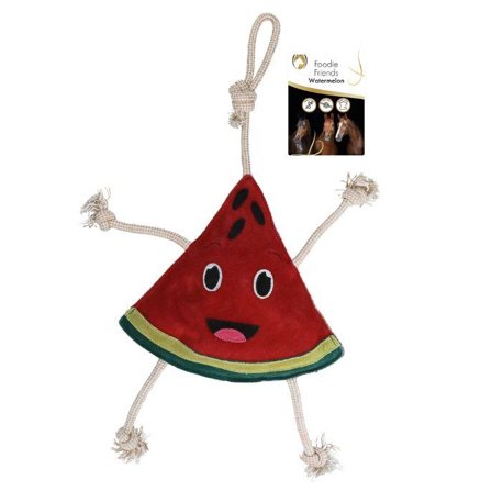 Excellent Foodie Friends Vannmelon