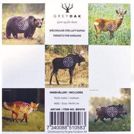 Grey Oak Targets For Airguns Övningsskytte Multi-colored 14X14CM