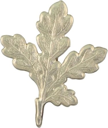 Grey Oak -trofeekoriste, tammenlehti