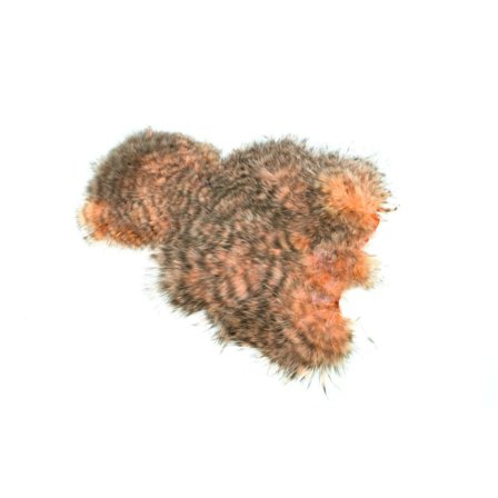 Whiting Spey SH/C - Grizzly dyed Salmon