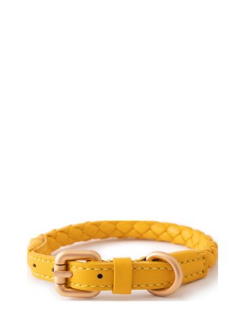 Ferdinando Collar Yellow 2.8 Design For Dogs