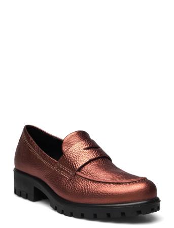 Modtray W Brown ECCO