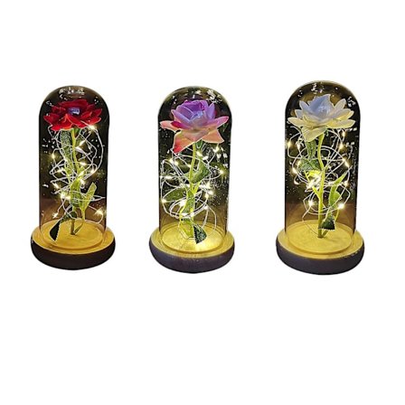 Evighetsros Blomma Konserverad Odödlig Färsk Ros Glas