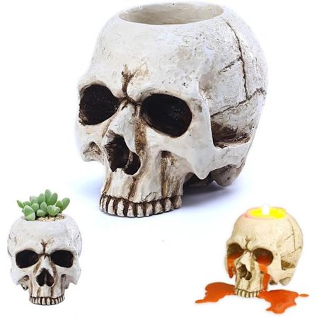 Dödskalle Ljusstake, Skelett Dödskalle Ljusstake Tealight Hållare Succulenter