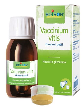 Vaccinium Vitis 60ml