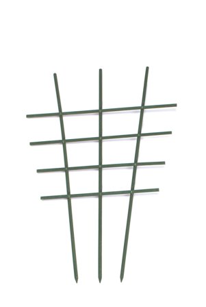 Nelson Garden 5209 Krukkeespalier tre, grønn 60 cm, Avling