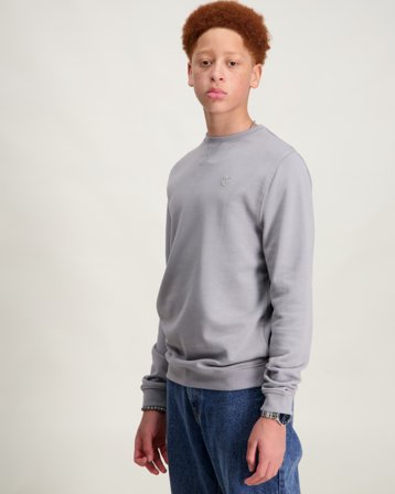 Lyle & Scott Tonal Crew Neck Sweatshirt Grå Trøjer Dreng - Kids Brand Store