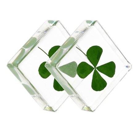Mini Resin Shamrocks 2 Sæt Resin Prøve Dekorative Kløver Kløver Form Familiemedlemmer Boligindretning[D]